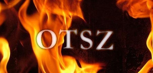IV. MEGELŐZŐ