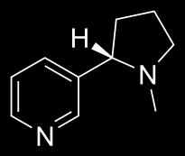 spartein) - stb.