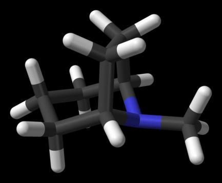 2) Tropánvázas alkaloidok: A biciklo-alapváz: A