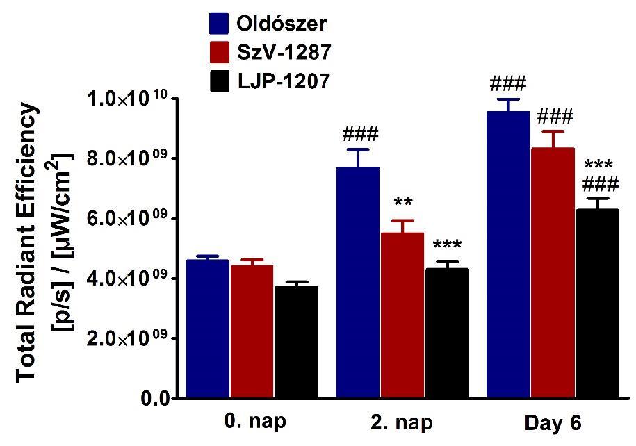 32. ábra Oldószerrel, SzV-1287-tel vagy LJP-1207-tel kezelt CD1 egerek K/BxN szérum-indukált plazmafehérje extravazációját reprezentáló ábrái. 33.