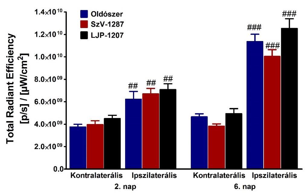 38. ábra CFA-indukált plazmafehérje kiáramlás oldószerrel, SzV-1287-tel vagy LJP-1207-tel kezelt CD1 egerek tibiotarzális ízületeiben. N=6 egér/csoport, ## p<0,01, ### p<0,001 vs.