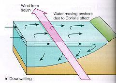 suface wates ae eplaced by wate
