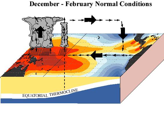 El-Nino