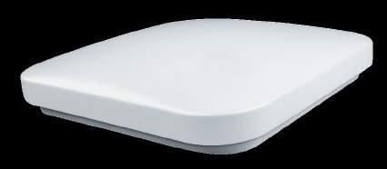 290mm 2288 Ollie