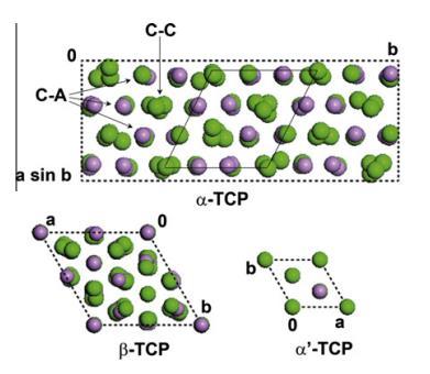 Irodalmi összefoglaló Az α-tcp és β-tcp közötti jelentős szerkezeti különbség, hogy az utóbbiban nincsenek C-C oszlopok. Ehelyett a β-tcp-ben kétféle C-A oszlop van, ahol az A oszlopok... P Ca Ca P.