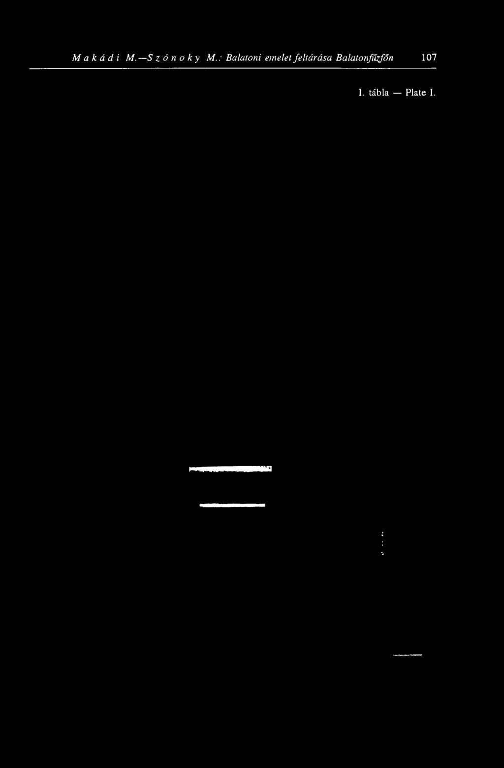 : Balatoni