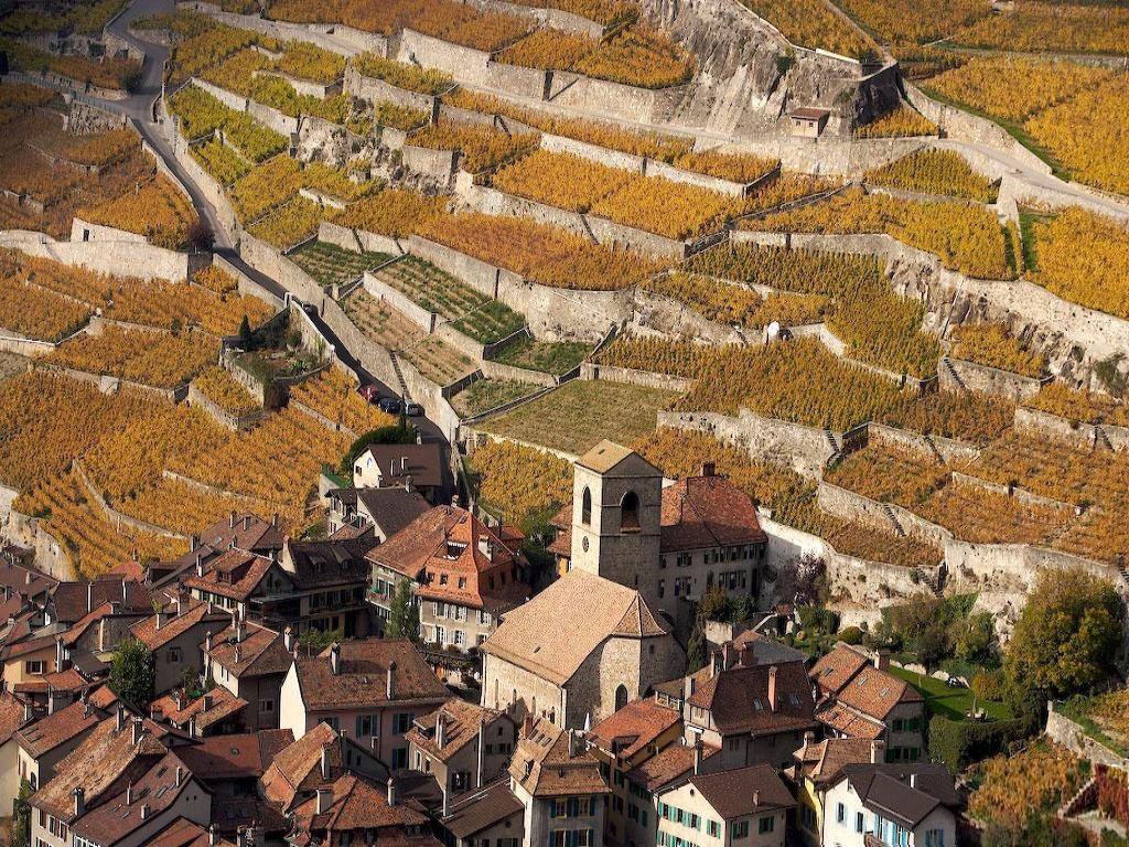 Fonyódi Mariann PhD BME Urbanisztika Tanszék Városépítészet - 00 Lavaux, Switzerland ( N, E) Yann Arthus-Bertrand - - AVAGY A FUNKCIONALISTA VÁROSTERVEZÉS - KRITIKA: TEAM 0 -