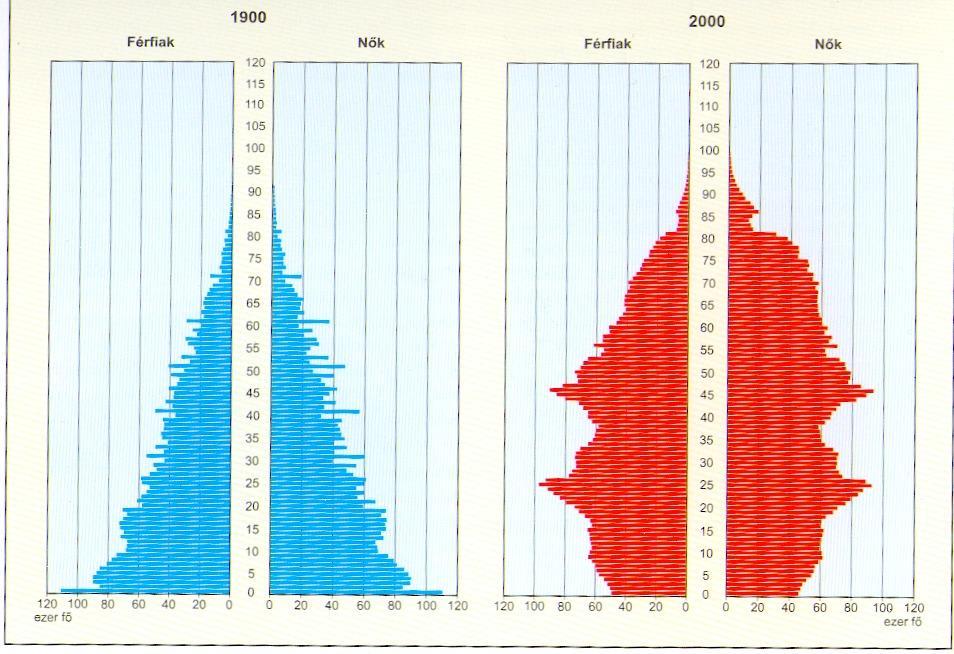 Magyar Tudománytár 4. 2003.