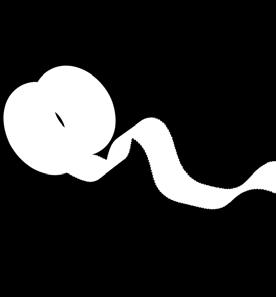 időskorral összefüggő szellemi hanyatlás és az életminőség javítására enyhe fokú demenciában szenvedőknek (szellemi