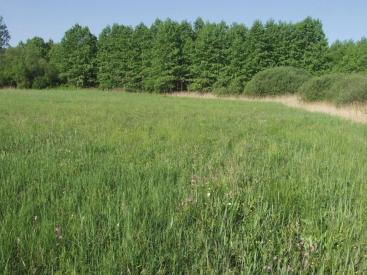 FERTŐ-HANSÁG NEMZETI PARK IGAZGATÓSÁG Liget-patak menti