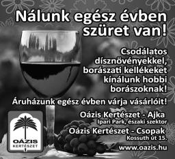 2012. május Paloznaki Hírmondó 7 FALUMEGÚJÍTÁSI DÍJ Április 20-án pénteken vehettük át Alsómocsoládon Szaló Péter helyettes államtitkártól a fenntartható falufejlesztés kiváló színvonalú
