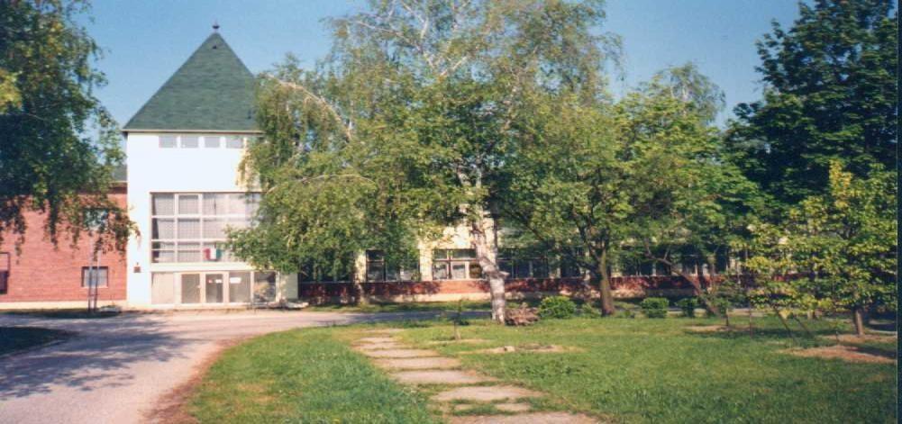 NEMZETISÉGI NYELVOKTATÓ