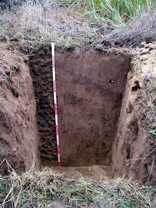 A lehatárolt mintaterületünk tengelyét egy, a jelentősebb csapadék események hatására megnyíló, majd visszaművelt eróziós barázda alkotja. 5.6.