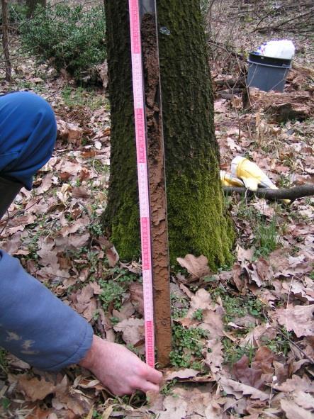 6.3. ábra Szelvényleírás és humuszréteg vastagság megállapítsa Pürkhauer-féle szúróbottal A lejtőmenti vizsgálatokhoz két lejtőszegmens esetében két önálló