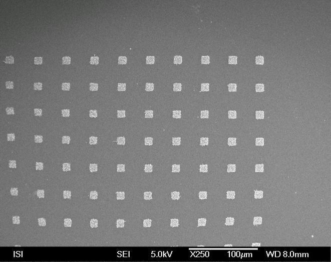 wafer with a patterned iron catalytic layer.