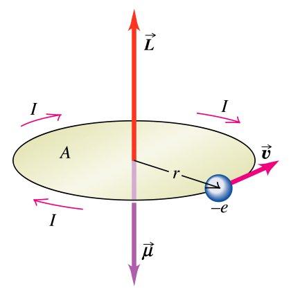 Impulzusmomentum-operátorok A klasszikus impulzusmomentum (perdület): l = r p l x = yp