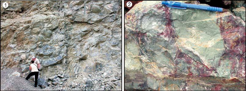 Földtani Közlöny 141/2 (2011) 179 peloidos wackestone és packstone, szivacstűs wackestone, filamentumos wackestone, kőzetlisztes agyagkő, átkovásodott radioláriás wackestone és radiolarit, valamint