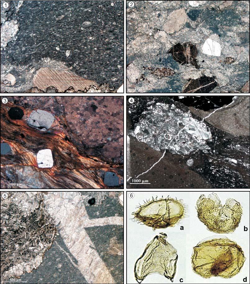 Földtani Közlöny 141/2 (2011) 187 20. ábra. A Telekesoldali Komplexum egyes kőzeteinek jellemző mikroszövete és korjelző mikrofossziliái Figure 20.