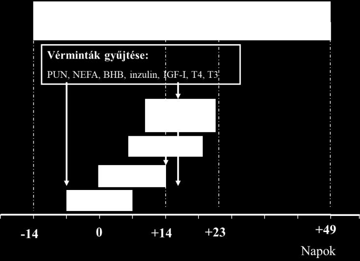 bemutatása PUN=vérplazma karbamid szintje, NEFA=nem észterifikált zsírsav,