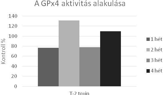 5. ábra A glutation-peroxidáz aktivitás változása hosszantartó nagydózisú T-2 toxin terhelés hatására baromfiban Hasonló eredményre jutottunk halakkal végzett hosszú távú terheléses vizsgálatunk