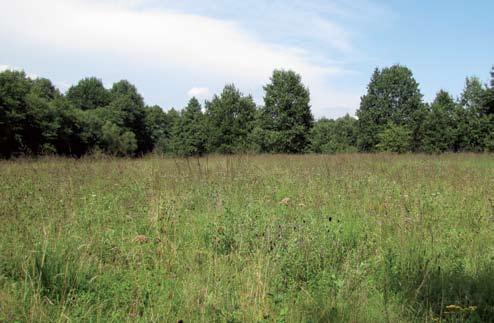 254 Natura Somogyiensis 3.