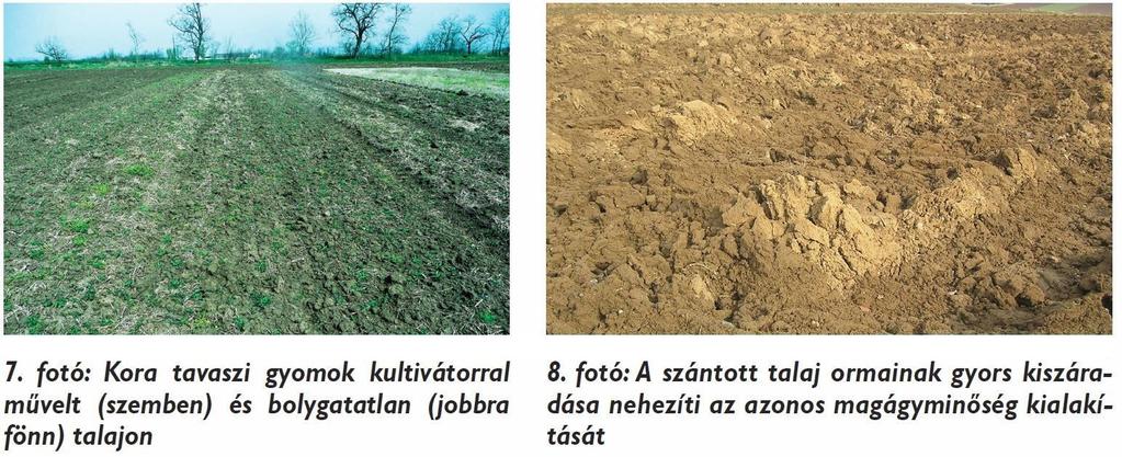 A szántás és a lazítás külön menetes módja a költsége, a visszataposás veszélye miatt lehet kérdéses.