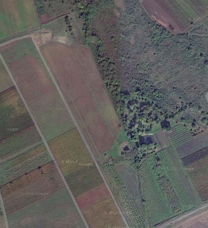 Gyöngyöstarján Településrendezési terv módosítás 0182/4 0182/1 Gyöngyöstarján 2406 sz Közút Településrendezés A tervezési terület a falu északi bekötő útja mellett található, mezőgazdasági földek