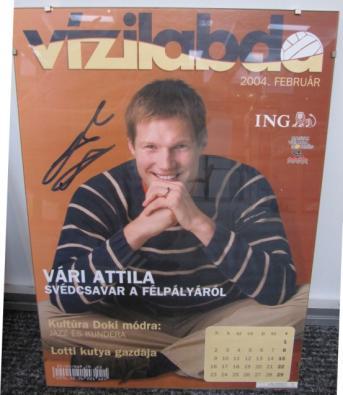 Fodor Rajmund (2004. január) poszter a Vízilabda 2004 c.