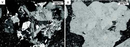 Typical thin sections of granitoide from Zebegény (A +N, B 1N) koznak. Szövetük hipidiomorf szemcsés.