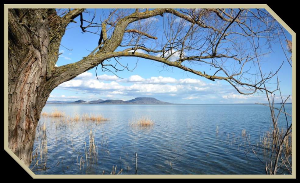 A BALATON ÉS A TÓRÉSZEK HAVI VÍZHÁZTARTÁSI JELLEMZŐINEK MEGHATÁROZÁSA 2016.