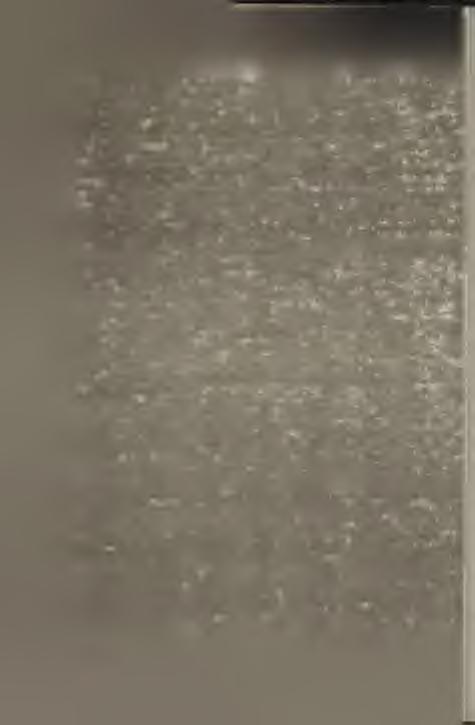 Felszólította a m inisztérium a rendfőnököt, hogy ezeken a hiányokon sürgősen segítsen. Pintér Elek, az intézet akkori igazgatója, igyekezett segíteni ezen a helyzeten.