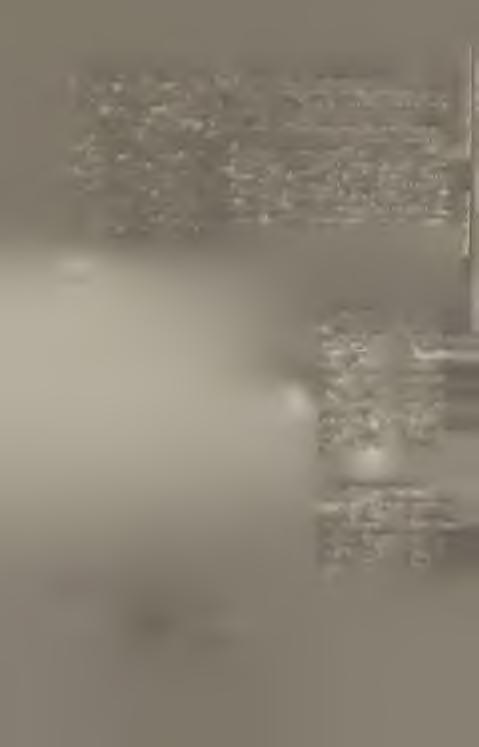 E lapokon áttekintést adtam iskolánk ifjúsági m ozgalm áról, m ely ha nem is töretlenül, de állandó fejlődést m utat.