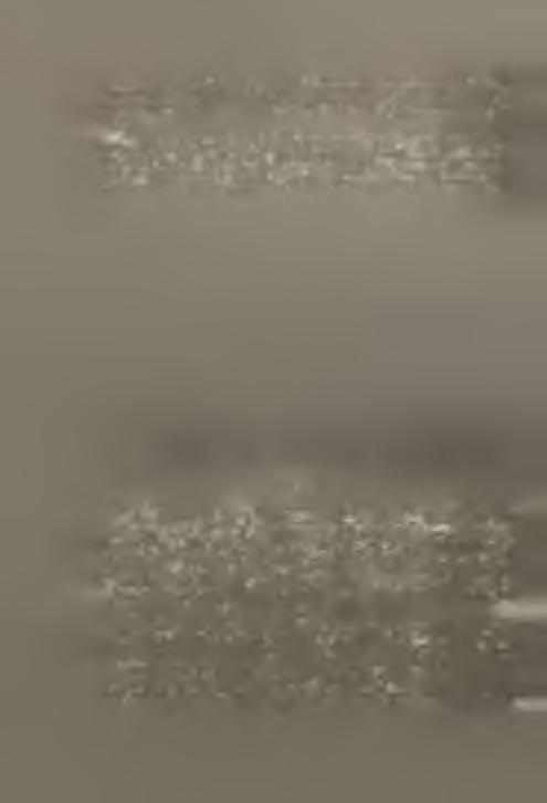 ^ 1 9 6 3 októberében m egalakult a M agyar Testnevelési és Sportszövetség, amely valam ennyi egyesületet egy töm egszervezetbe egyesitett, és új u tat jelölt meg a középiskolák szám ára.