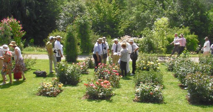 6 Rózsabajnokság Baden-Badenben A délnyugat-németországi Baden-Baden meleg vizű fürdőivel és festői környezetével az 1800-as évek óta kedvelt üdülőhely.