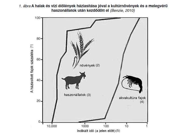 Bevezetés Forrás: