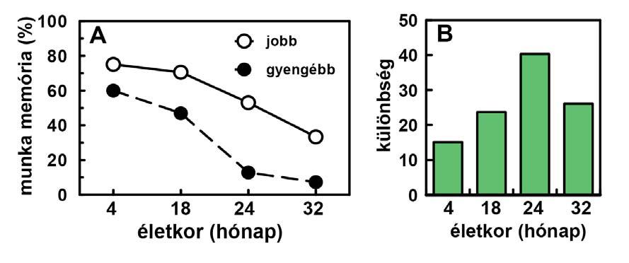 IDŐSGYÓGYÁSZAT 1. évf. 1. szám 65. oldal ELŐADÁS 2016. SZEPTEMBER 30.