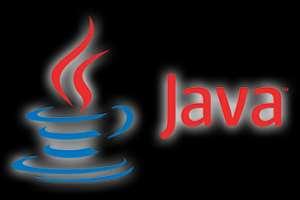 A Java nyelv verziói 1995: az Internet rohamos terjedése újra felvetette a platform-független technológia szükségességét. Újraéledt a project, de általánosabb célkitűzéssel.
