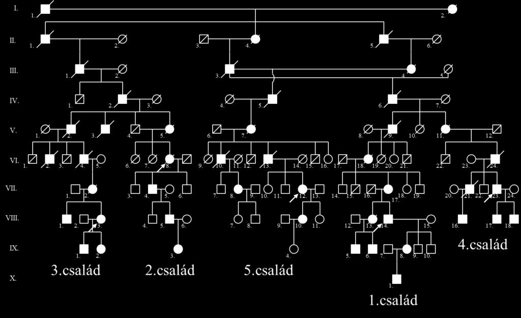Geneológus által felderítésre kerültek az 5 proband felmenői, valamint az esetleges közös ős, akitől az ACVRL1 c.625+1 G>C eltérés eredeztethető.