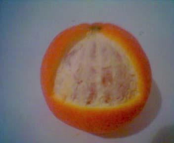 Zsineggel megmérhetjük a narancs legnagyobb kerületét (az egyenlítő mentén), és ebből kellene következtetni a sugarára.