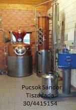 Pucsok Sándor
