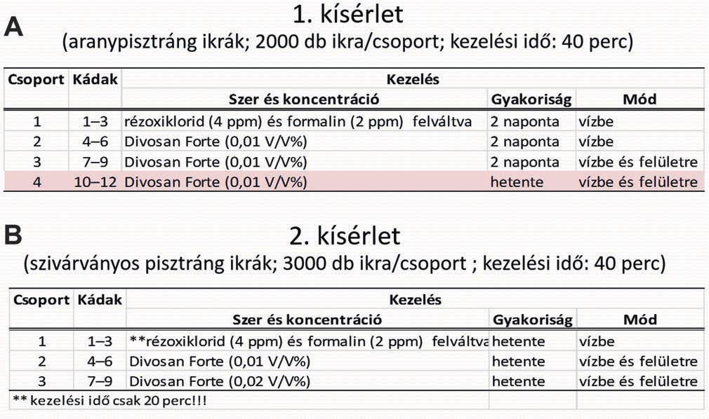 Vol. 4/1. (2018) pp. 10-16. 2. táblázat: A Lillafüredi Pisztrángtelepen végzett kezelési kísérletek paraméterei. Table 2. Parameters of treatment trials at Lillafüred Trout farm.