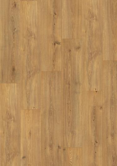 50Ft/m2 Oak Modern Natural V 231