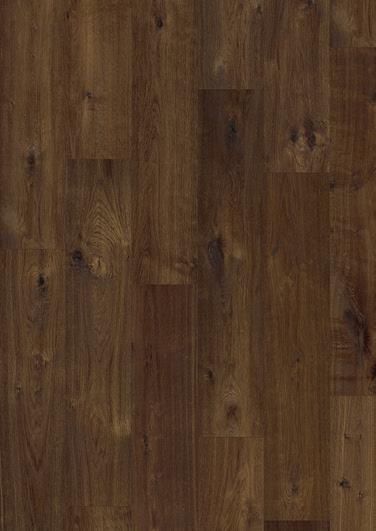 Oak V 236 6 Madura Oak V 236