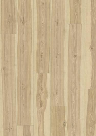 Canton Oak V 236 500 Sarria