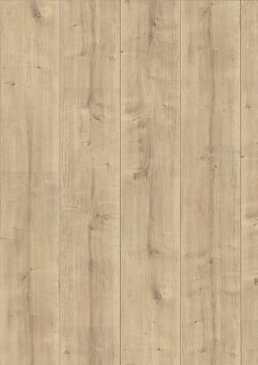 White Corton Oak V