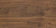 UH-006604 Kantábria tölgy UH-379983 Oak