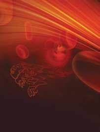 International Evidence-Based Complementary and