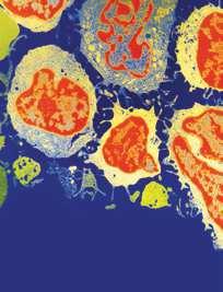 Publishing com Volume 2014 Journal of Obesity