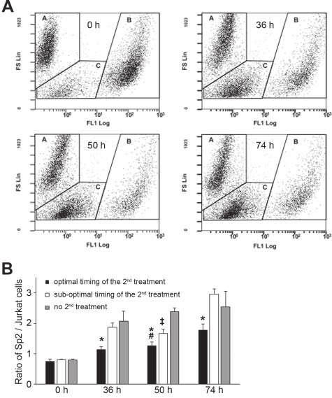 1230 V. FISI ET AL. Figure 4. Timing of sequential paclitaxel treatment discriminates cell lines with different cell cycle properties.