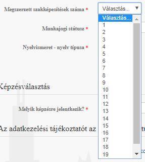 Amennyiben ez megegyezik az előbb kitöltött Állandó vagy Tartózkodási címmel, akkor nem kell újra beírni az egész címet, csak a blokk elején található Megegyezik az állandó lakcímmel vagy Megegyezik